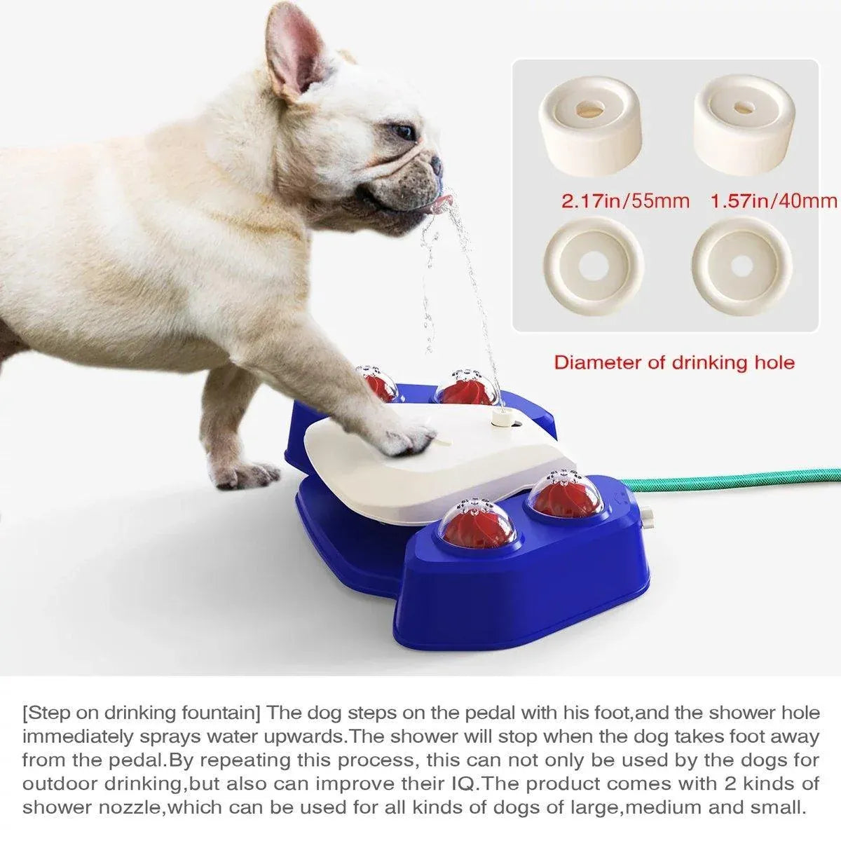 Foot-Operated Dog Drinking Fountain & Water Play Sprayer - Grey