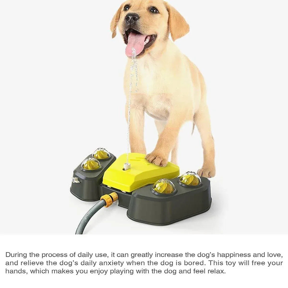 Foot-Operated Dog Drinking Fountain & Water Play Sprayer - Grey