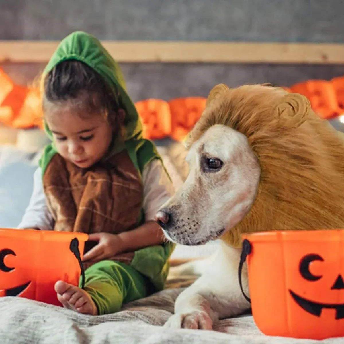 Lion Mane Costume Wig for Dogs - Light Brown, Small