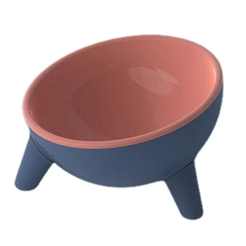 15° Tilted Raised Pet Feeding Bowl - Camella Red, 350 mL