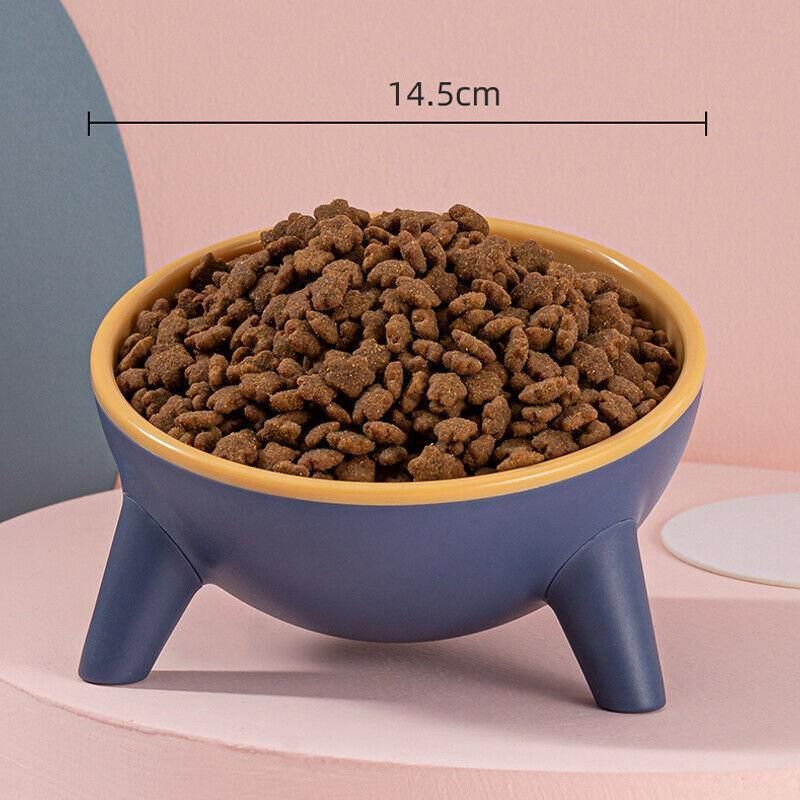 15° Tilted Raised Pet Feeding Bowl - Rock Yellow, 350 mL