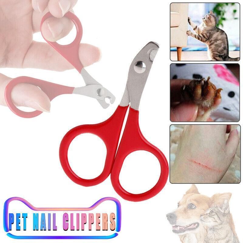 Pet Nail Clipper & Grooming Scissors for Dogs, Cats & Small Animals