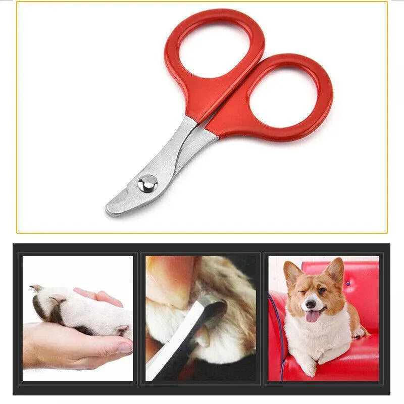 Pet Nail Clipper & Grooming Scissors for Dogs, Cats & Small Animals