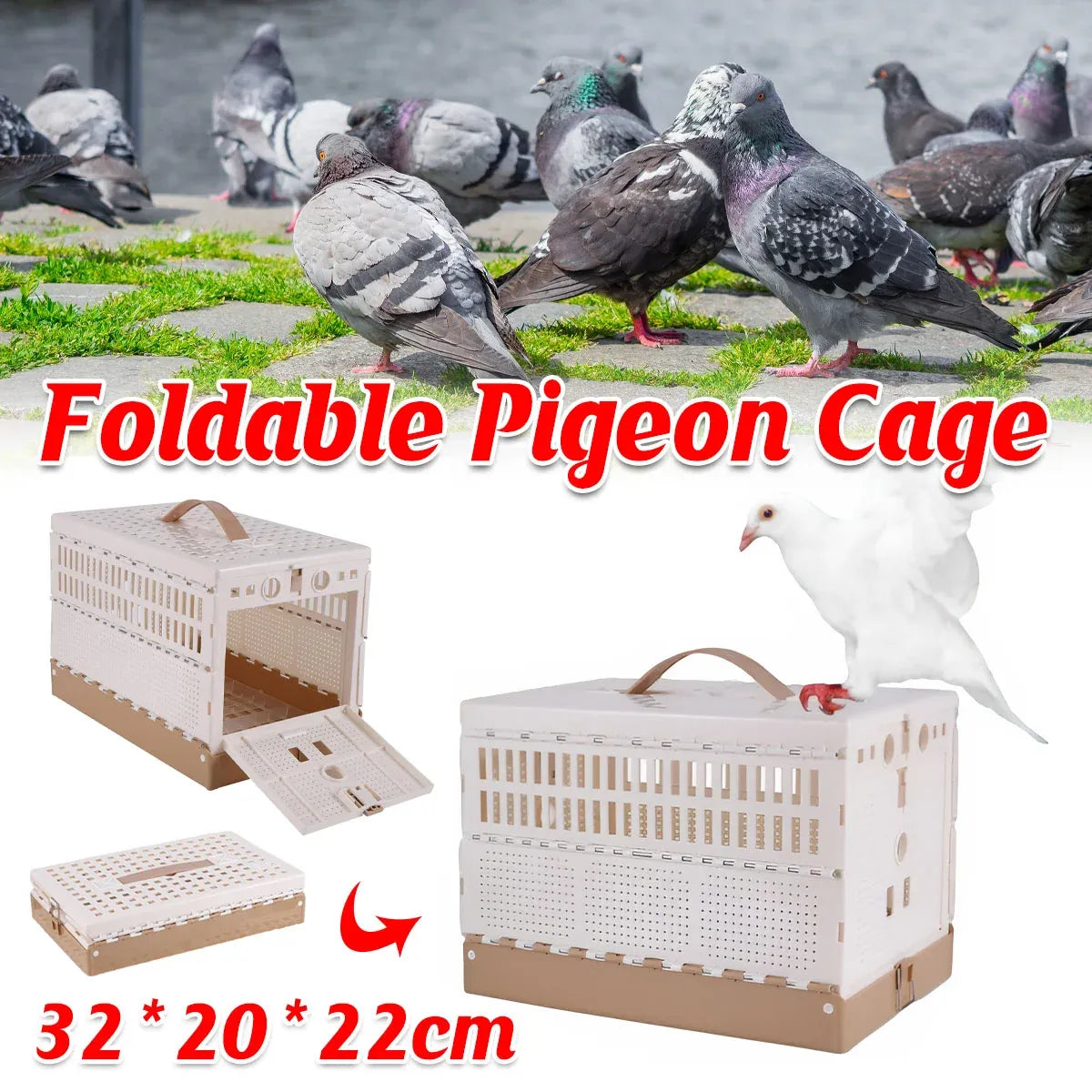 Foldable ABS Plastic Pigeon Training & Transport Crate – 32 × 20 × 22 cm – product image 1 of 13