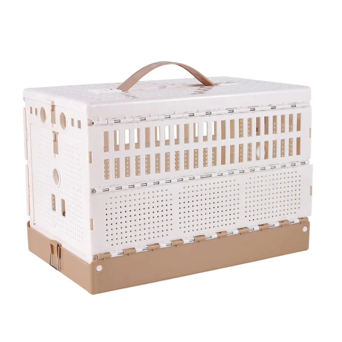 Foldable ABS Plastic Pigeon Training & Transport Crate – 32 × 20 × 22 cm – product image 2 of 13