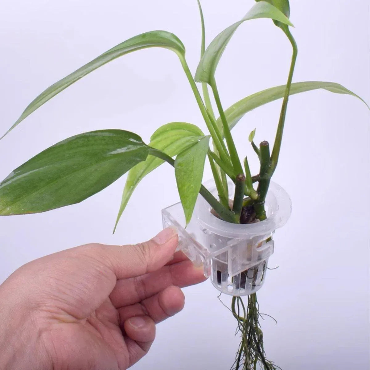 Adjustable Wall-Mounted Aquarium Plant Holder Cup - product photo 5 of 14