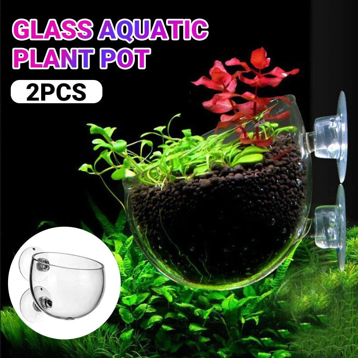 Glass Aquarium Plant Holders with Suction Cups, 2-Pack