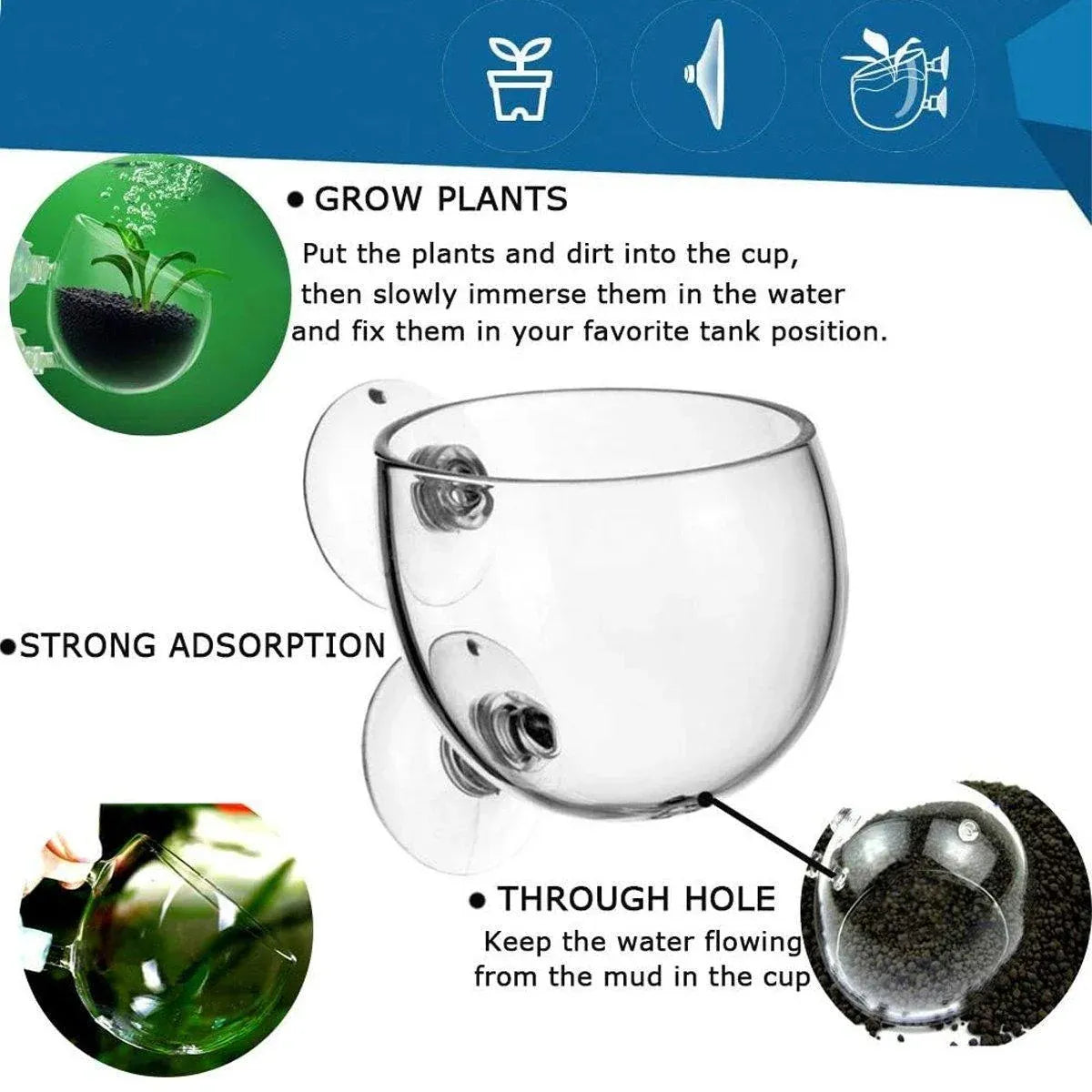 Glass Aquarium Plant Holders with Suction Cups, 2-Pack