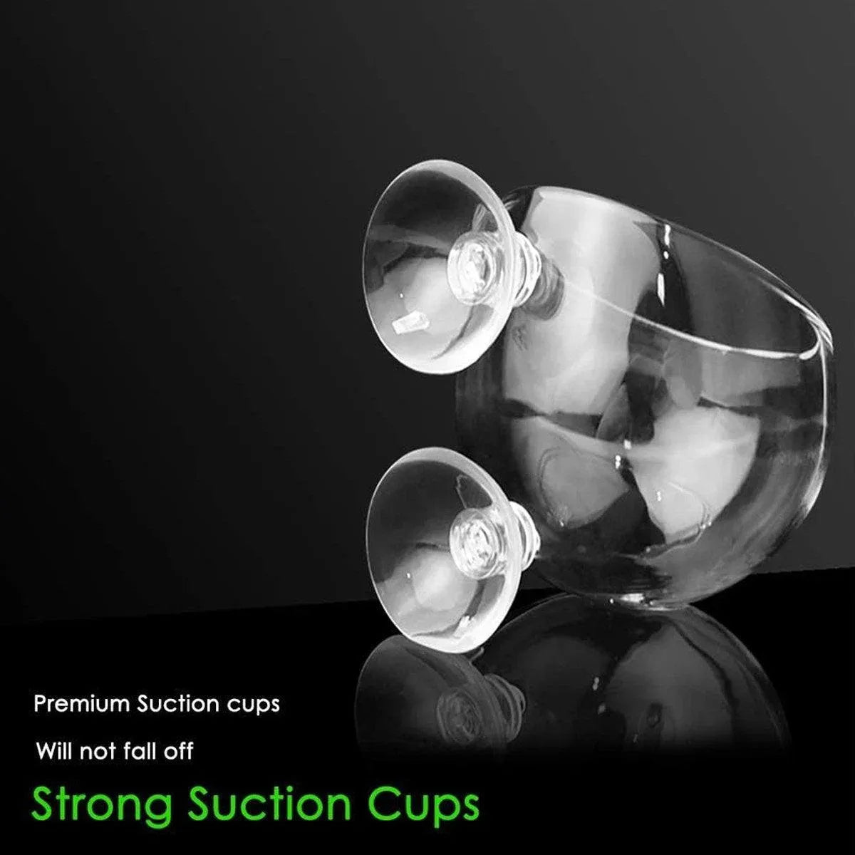 Glass Aquarium Plant Holders with Suction Cups, 2-Pack