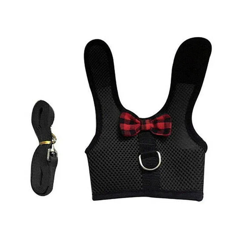 Mesh Rabbit Walking Harness & Lead - Black, Medium