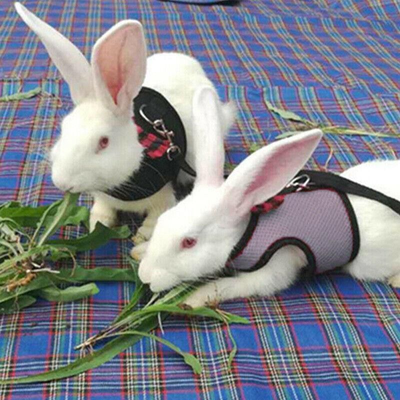 Mesh Small Animal Harness & Lead - Small, Black