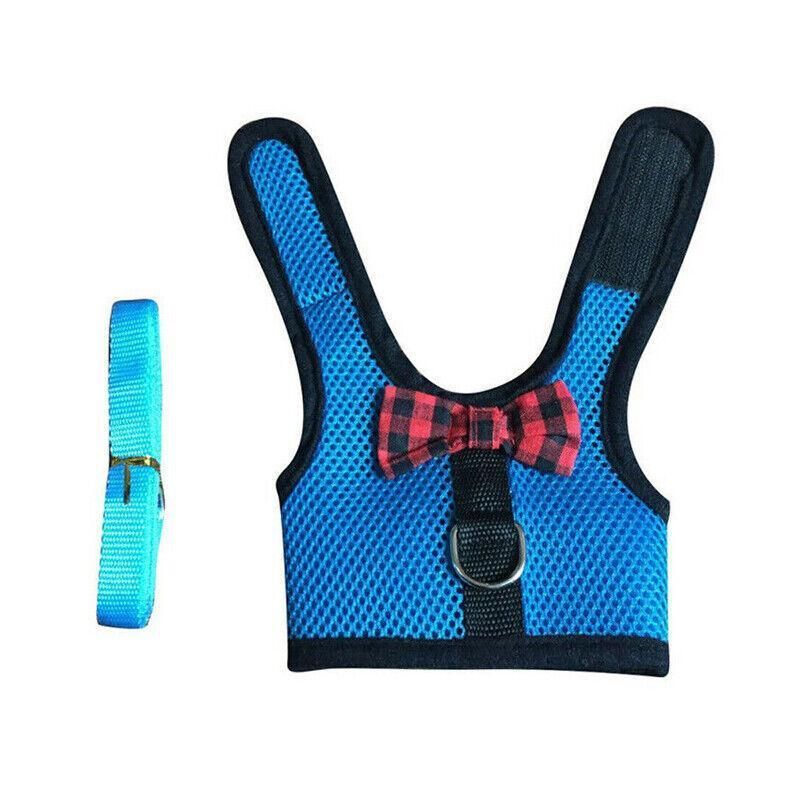 Mesh Rabbit Walking Harness & Lead - Blue, Large