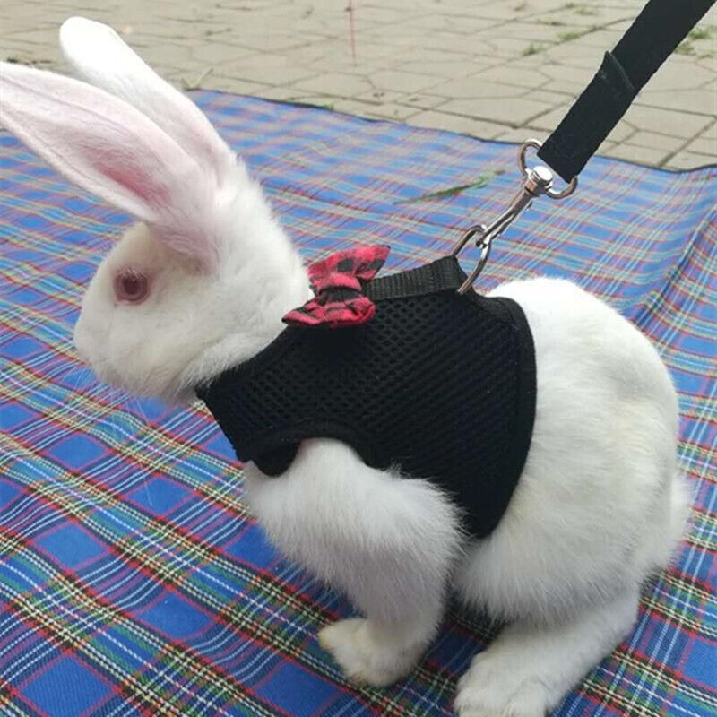 Mesh Rabbit Walking Harness & Lead - Blue, Medium