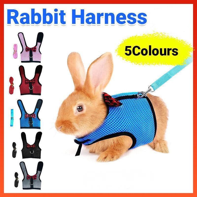 Mesh Rabbit Walking Harness & Lead - Grey, Large