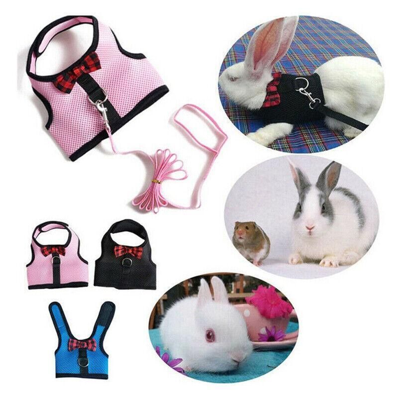 Mesh Rabbit Walking Harness & Lead - Red, Medium