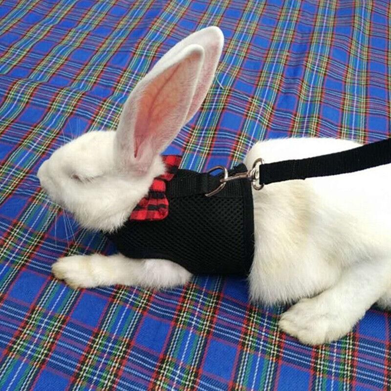 Mesh Rabbit Walking Harness & Lead - Red, Medium