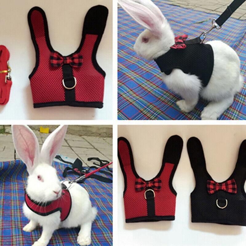 Mesh Rabbit Walking Harness & Lead - Red, Medium