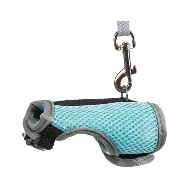 Mesh Small Animal Harness & Lead - Medium, Blue