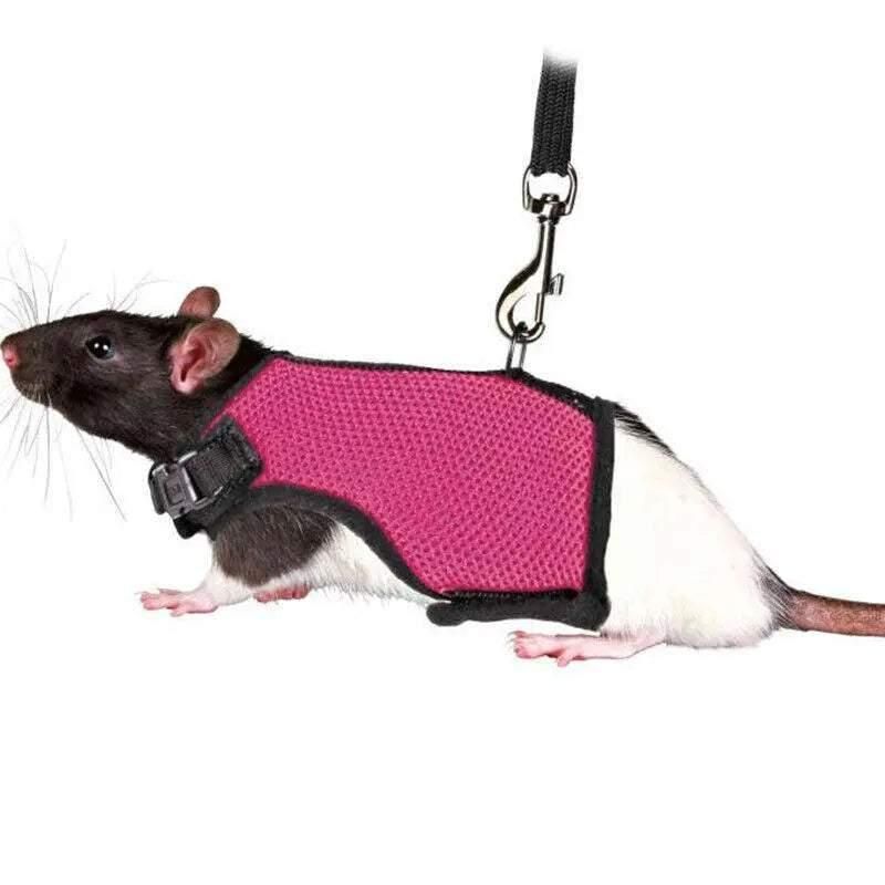 Mesh Small Animal Harness & Lead - Medium, Rose Red