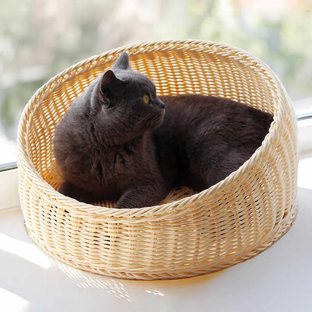 Handwoven Rattan Cat Nest - Green - product photo 5 of 14