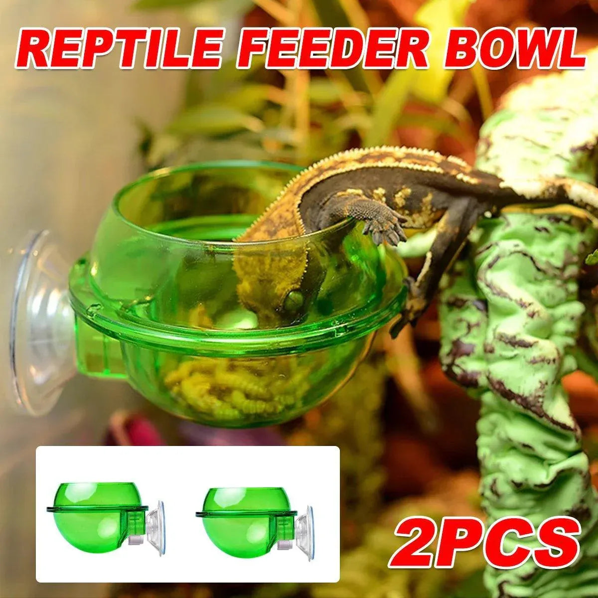 Suction Cup Reptile Feed Cups - 2-Pack, Green
