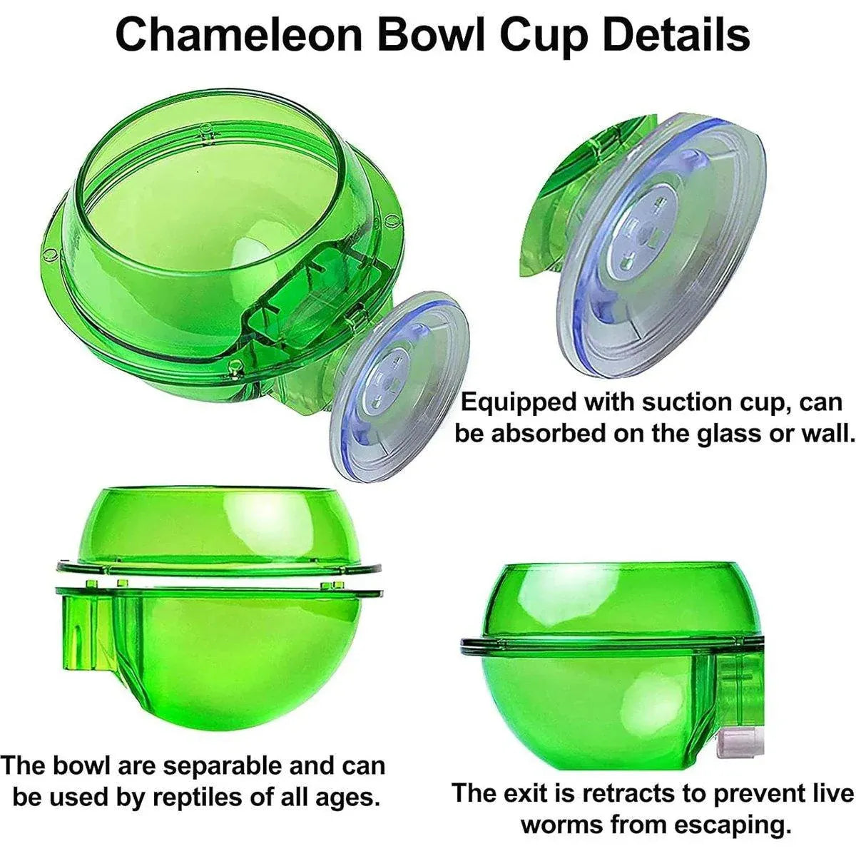 Suction Cup Reptile Feed Cups - 2-Pack, Green