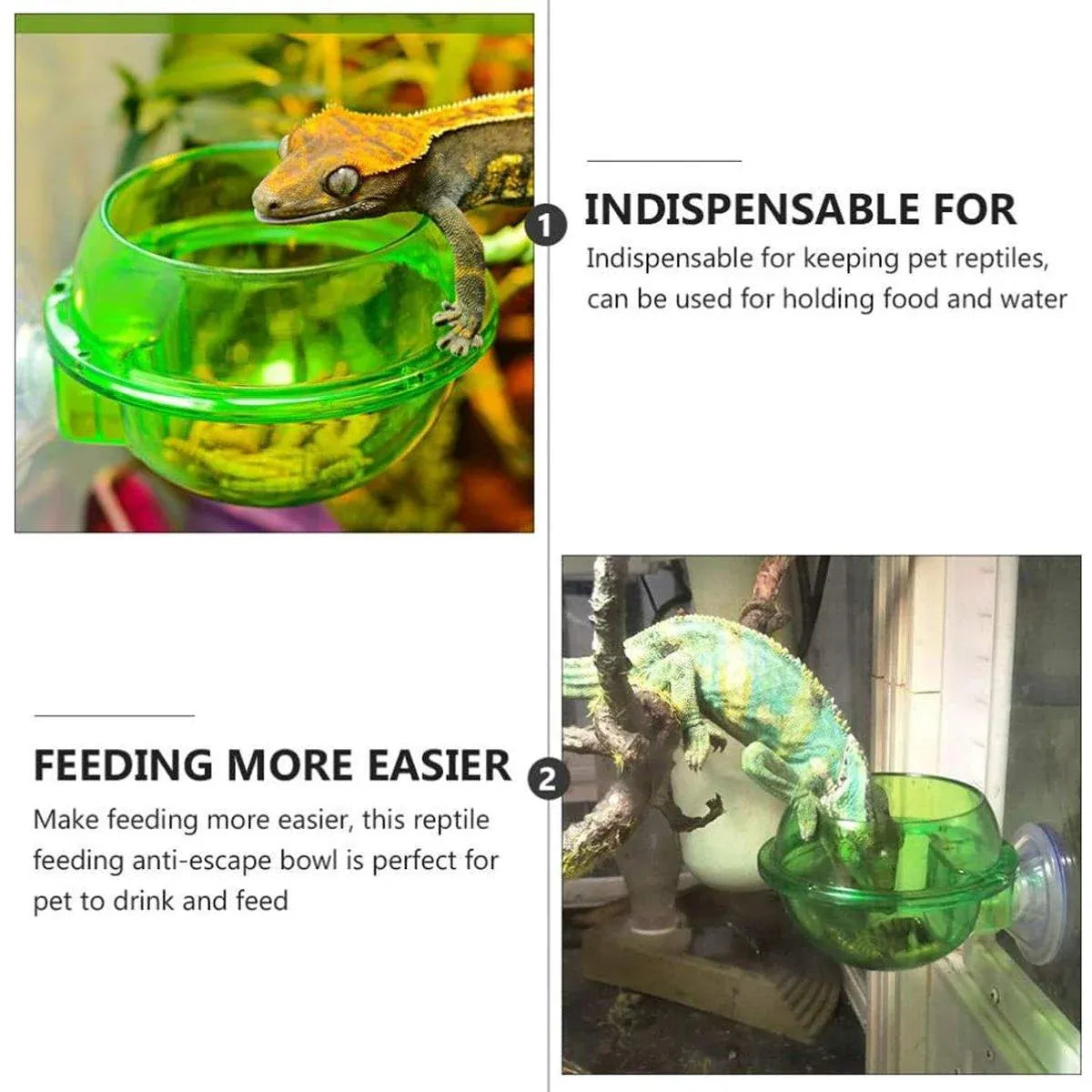 Suction Cup Reptile Feed Cups - 2-Pack, Green
