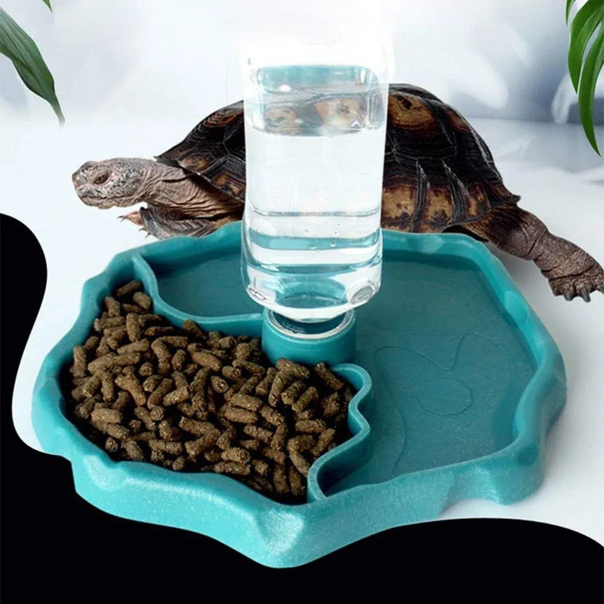 2-in-1 Reptile Food Bowl & Water Bottle Feeder – Blue, 21.5 cm
