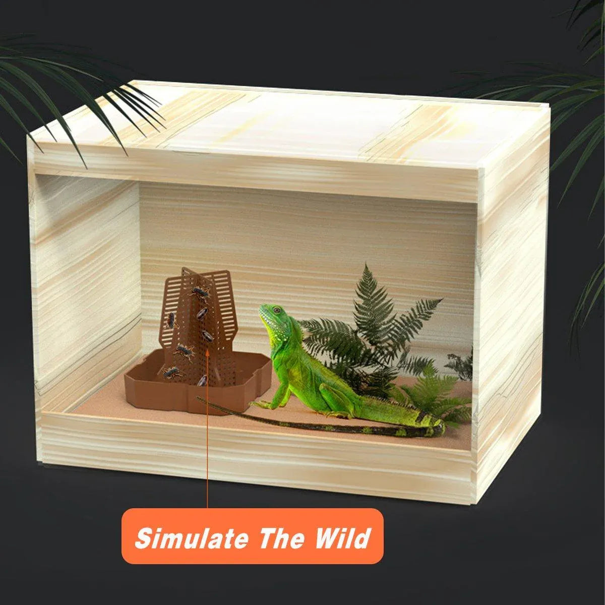 Raised ABS Reptile Live-Feed Bowl - Green, Small