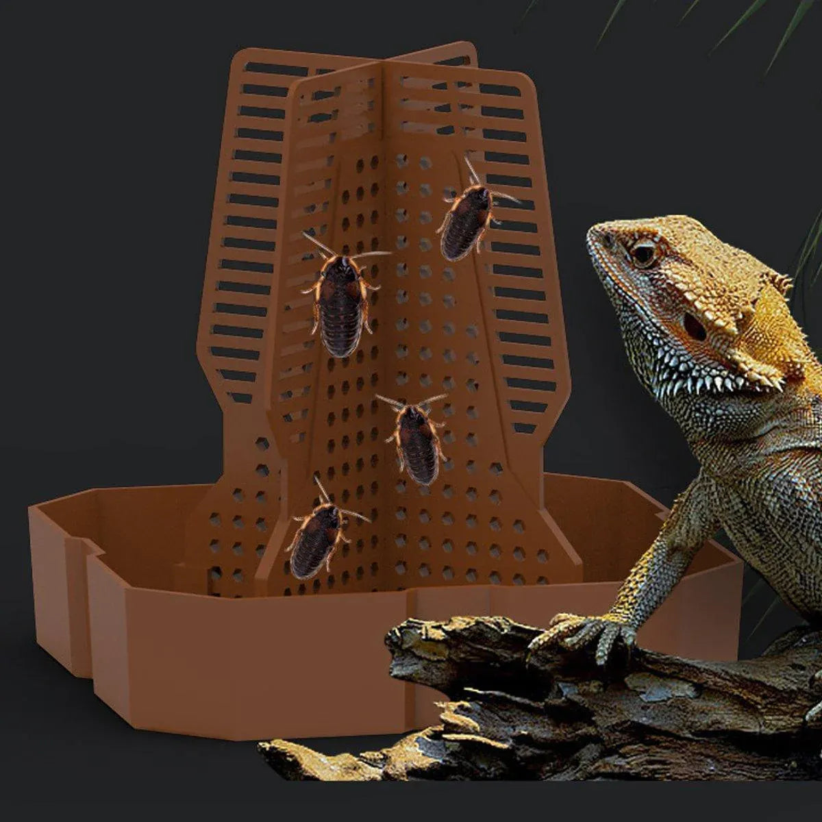 Raised ABS Reptile Live-Feed Bowl - Green, Small