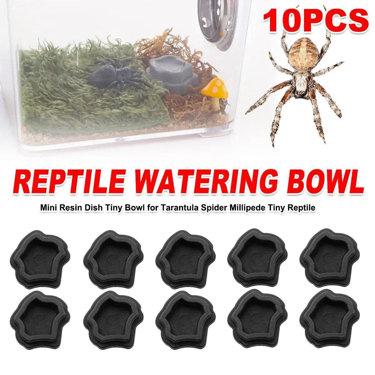 Mini Reptile Feeding Dishes - Black, 10 Pack