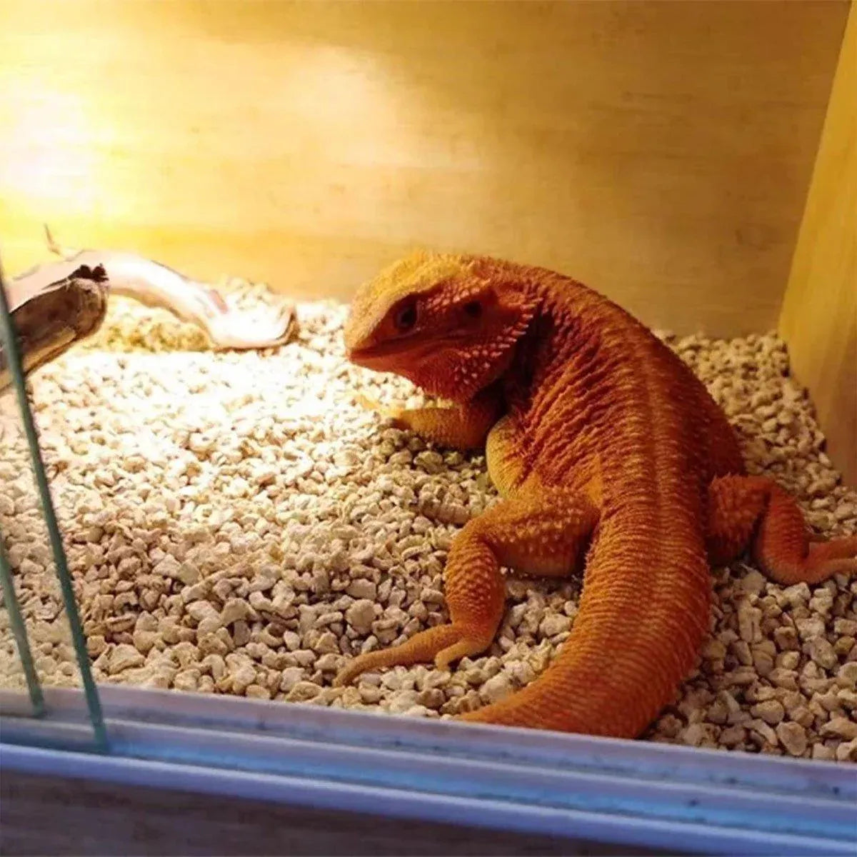 Granulated Reptile Habitat Bedding – One Bag