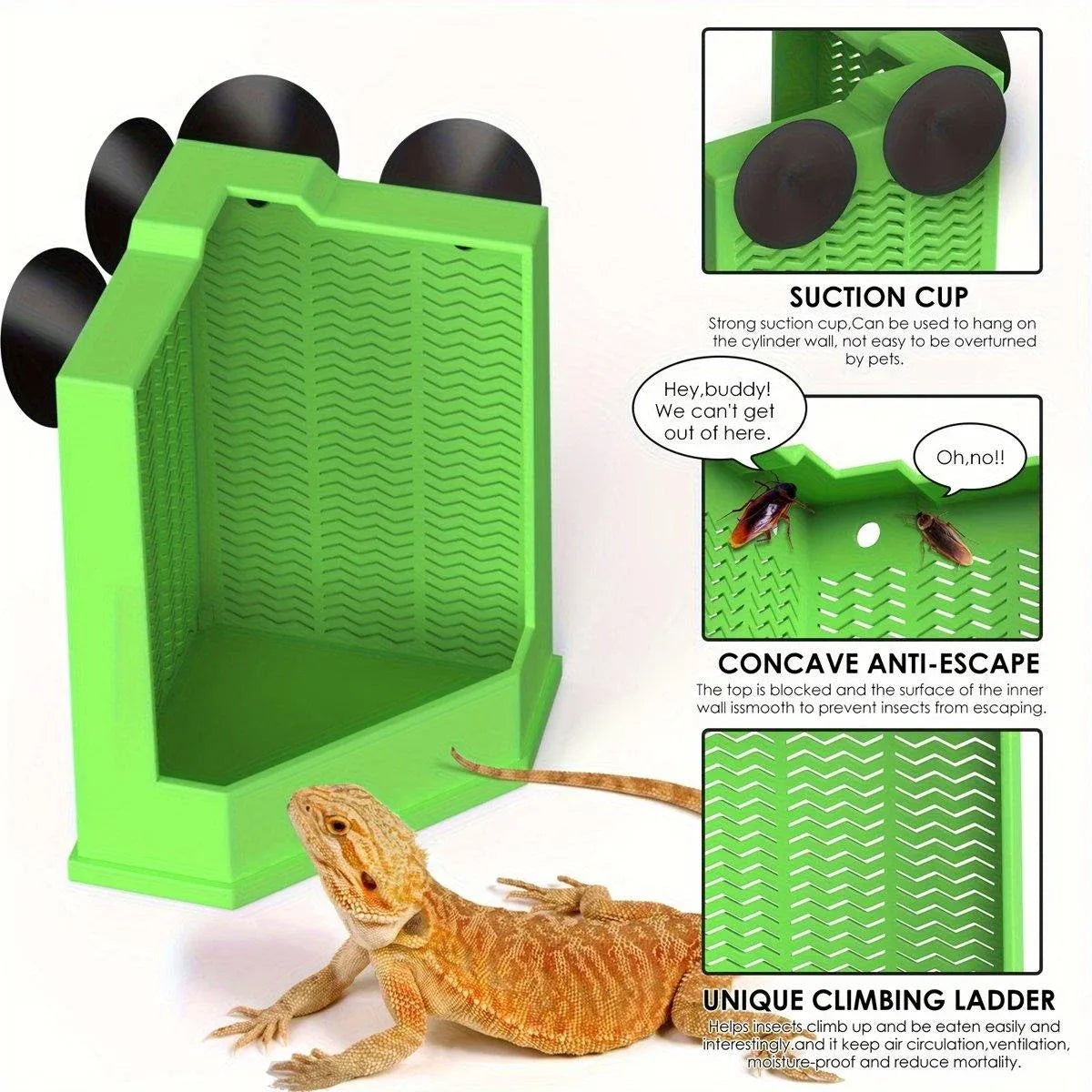 Reptile Insect Feeding Dish with Suction Cups - Large, Green, 16 × 10.5 × 3.5 cm