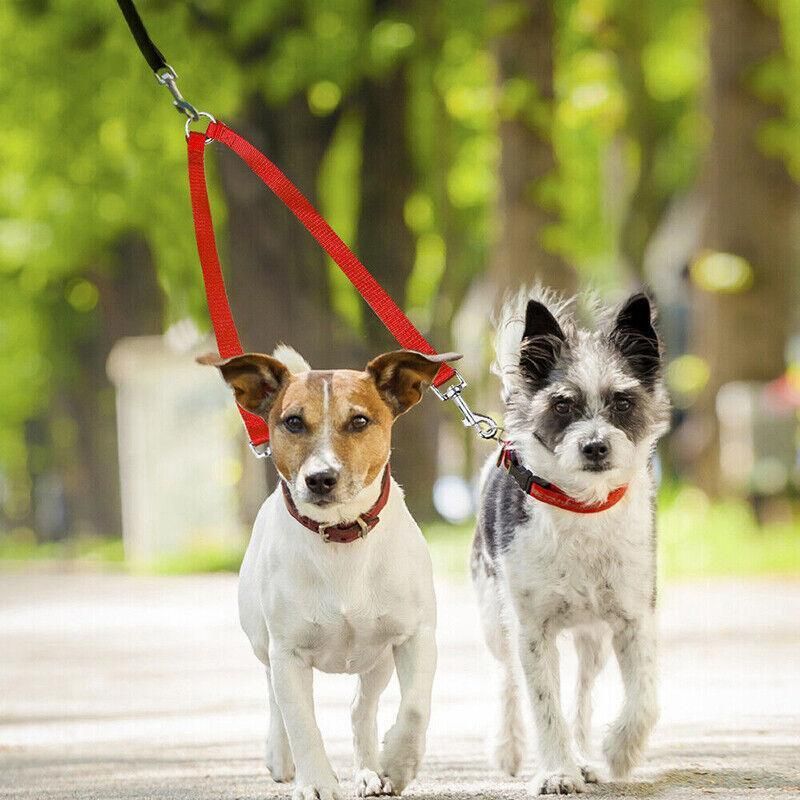 Two-Dog Nylon Leash Coupler - Red