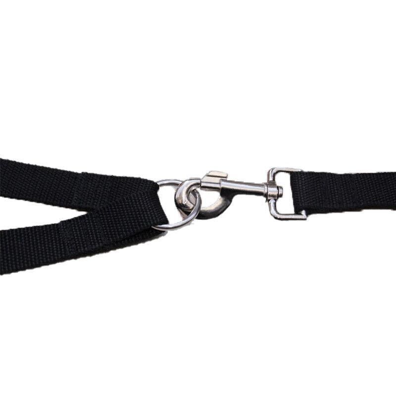 Two-Dog Nylon Leash Coupler - Red