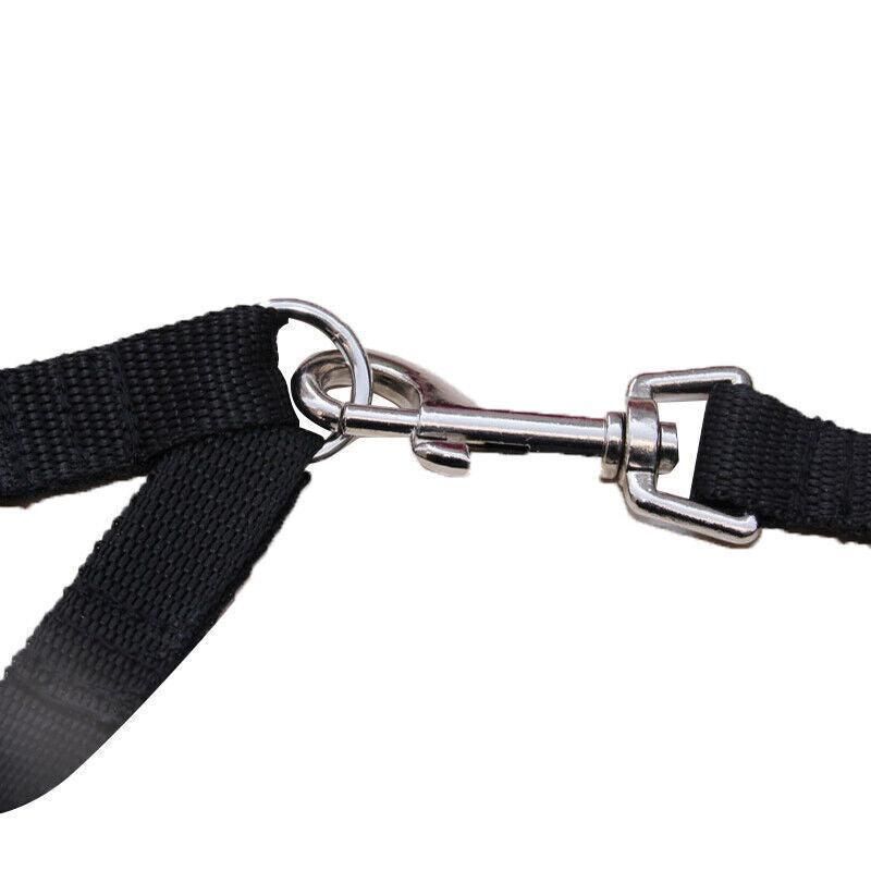 Two-Dog Nylon Leash Coupler - Red