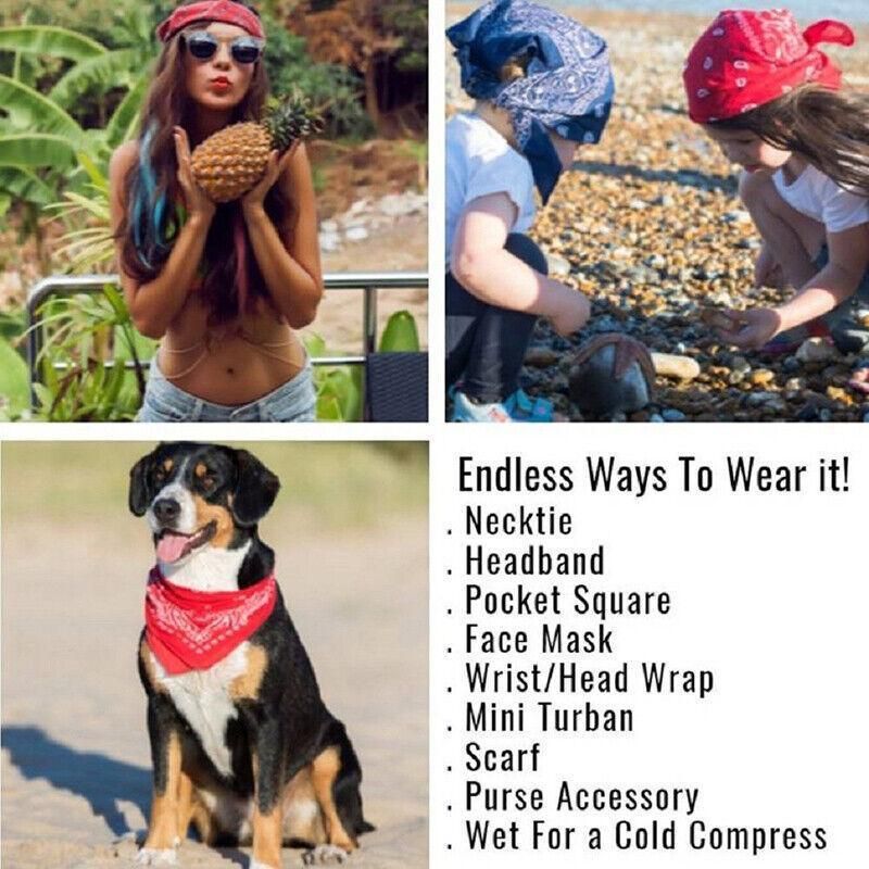 Paisley Bandana Scarf Head Wrap Face Neck Cover Summer Outdoor Fishing Headwear - Borland