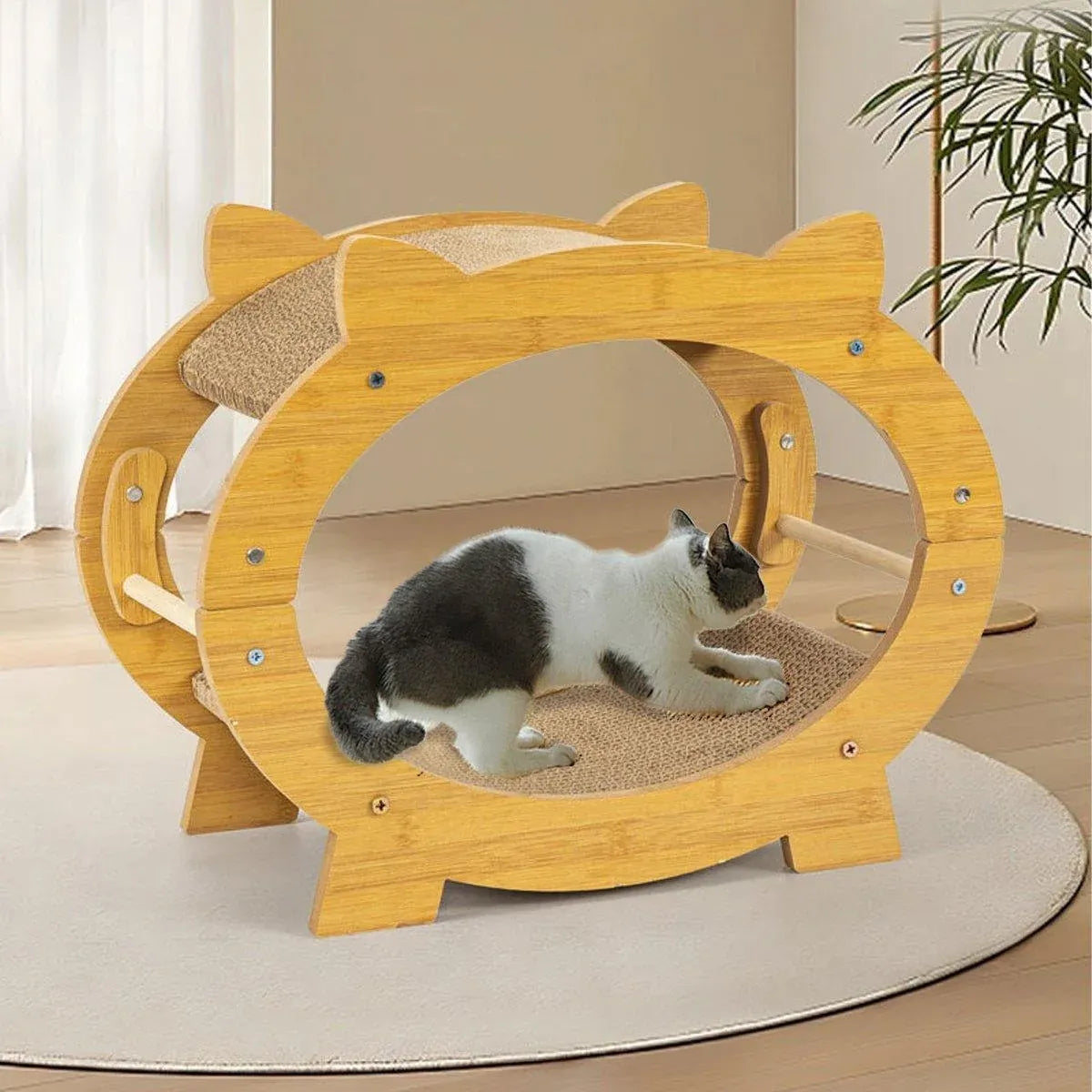 Corrugated Cat Scratching Lounge Board - Square