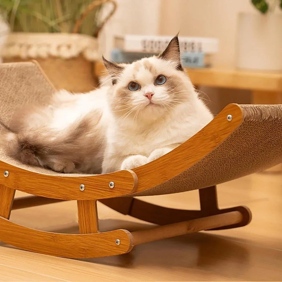 2-Pack Corrugated Cardboard Replacement Inserts for Cat Scratcher Bed - product photo 10 of 13