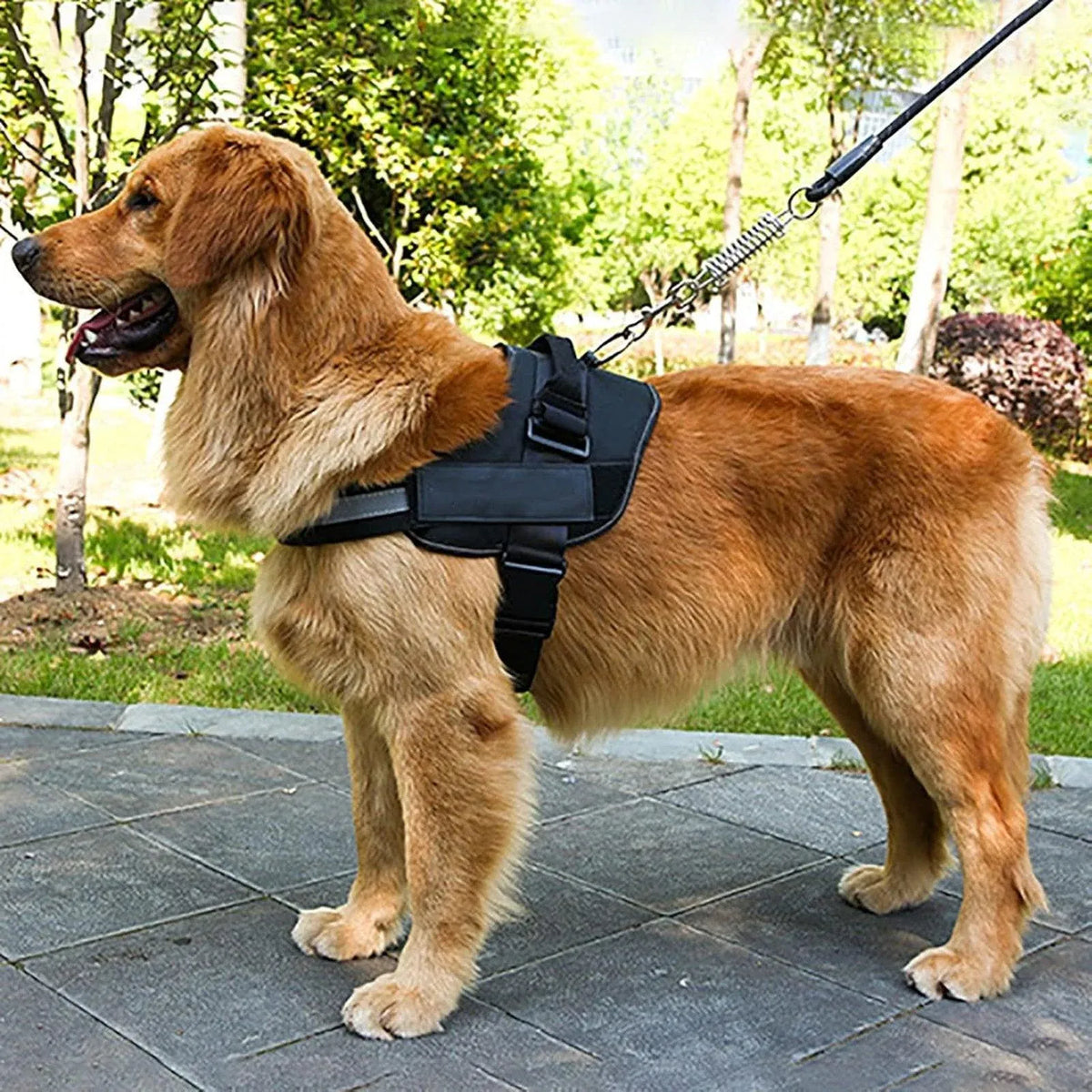 Adjustable Camouflage Dog Vest Harness, Large, Reflective Straps