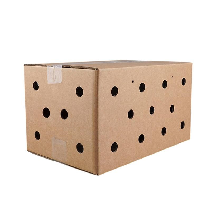 Disposable Cardboard Small Pet Travel Carriers, 10-Pack - 38 × 28 × 24 cm