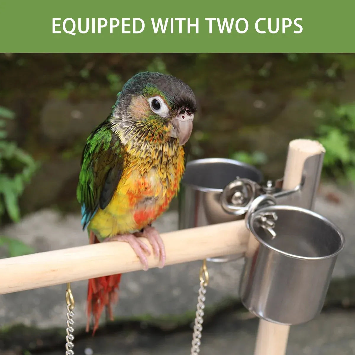 Wooden Parrot Activity Playstand with Swing & Ladder – 41 cm – product image 5 of 15