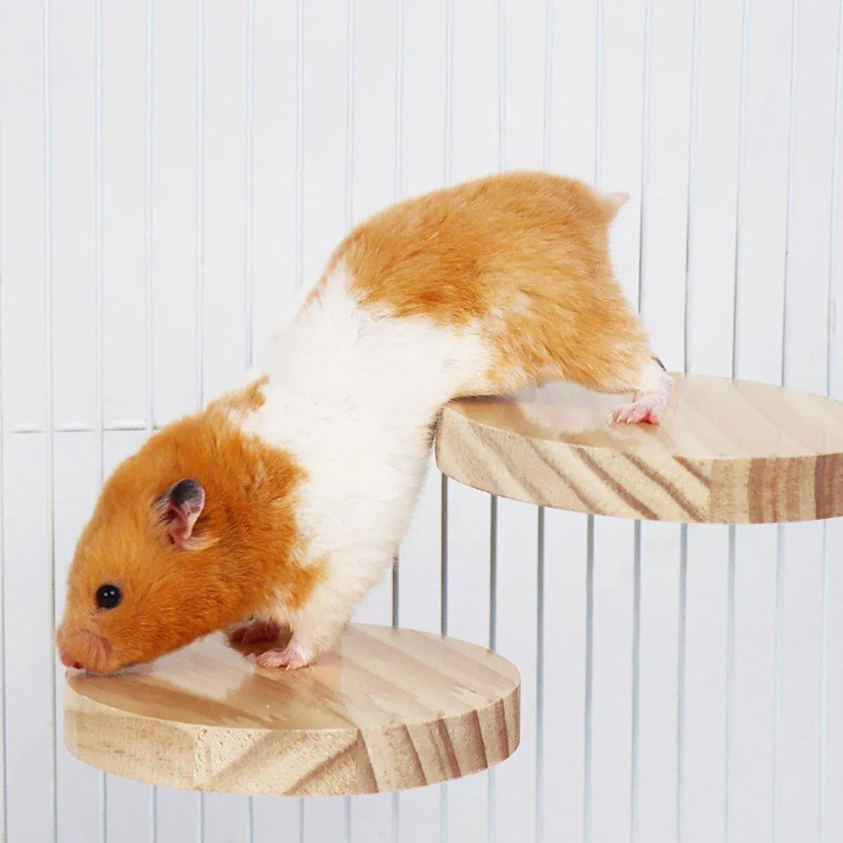 Wooden Small Pet Cage Platform - A2109, 9.5 × 9.5 × 1.5 cm