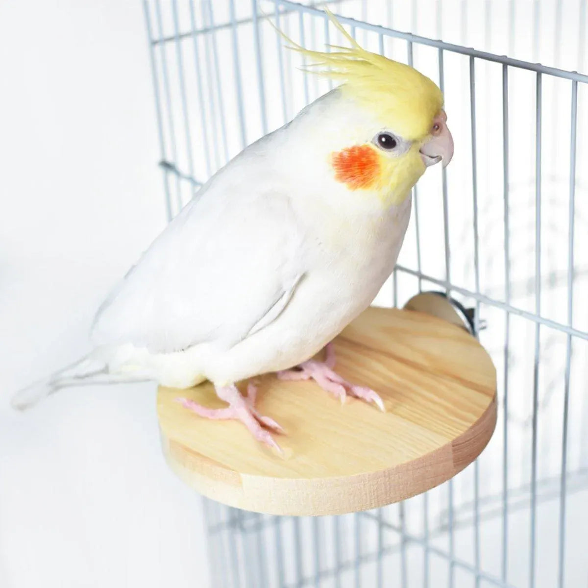 Wooden Small Pet Cage Platform - A2111, 15 × 7.5 × 1.5 cm