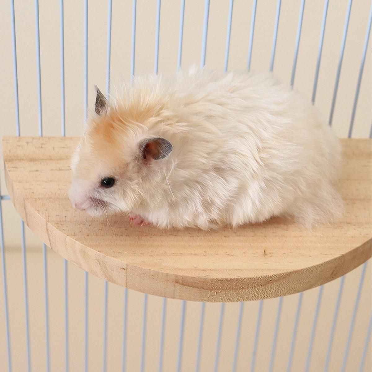 Wooden Small Pet Cage Platform - A2111, 15 × 7.5 × 1.5 cm