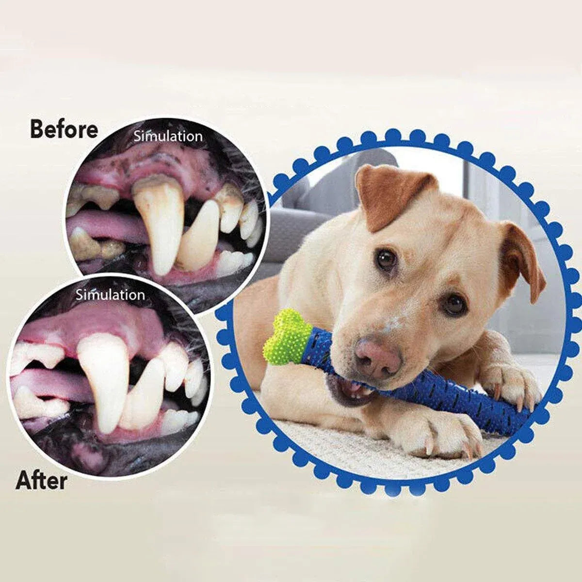Detachable Rubber Bone-Style Dog Chew Toy - Single, 25 cm