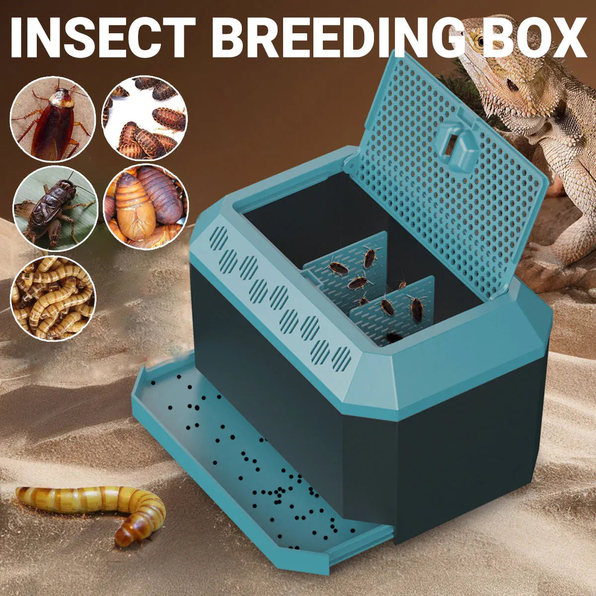 Ventilated Feeder-Insect Breeding Habitat with Tray - Blue, 21.4 cm