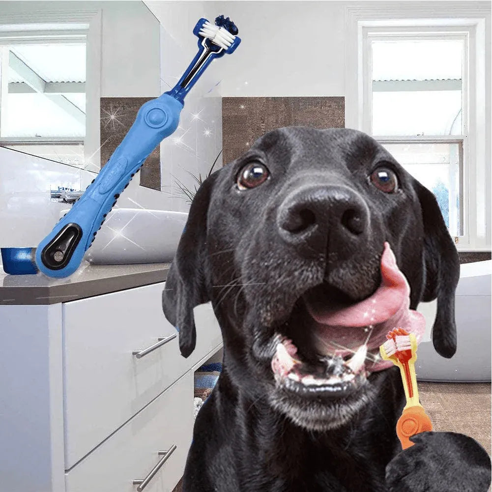 Three-Sided Pet Toothbrush for Dogs & Cats - Green, 17 cm