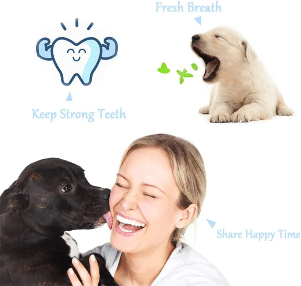 Three-Sided Pet Toothbrush for Dogs & Cats - Green, 17 cm