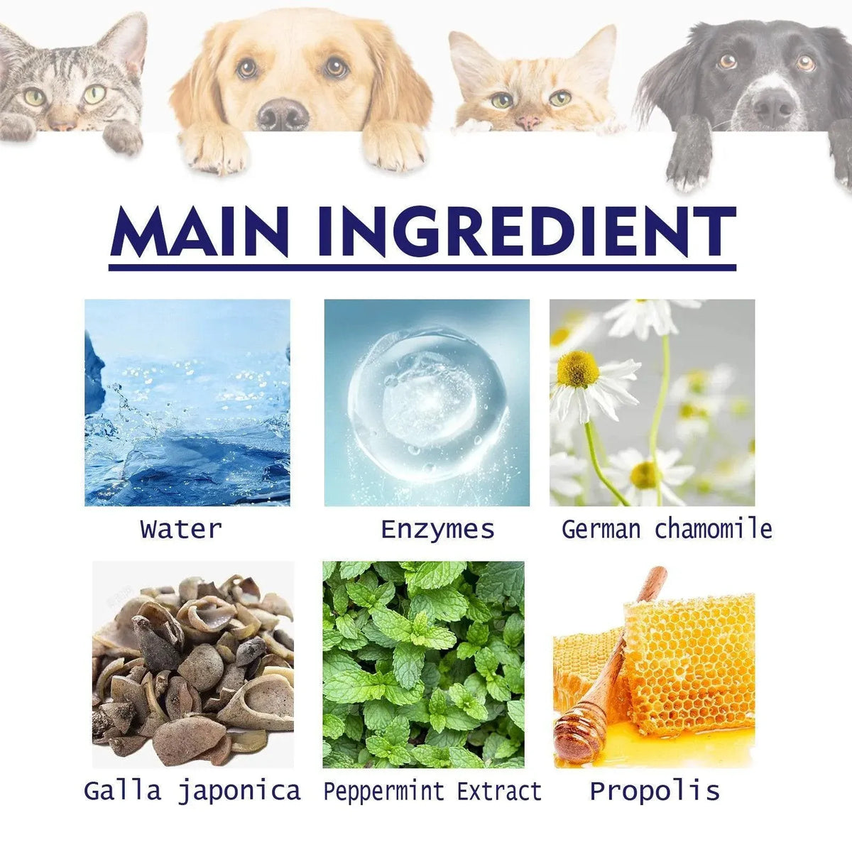 Pet Enzyme Toothpaste for Dogs & Cats - Peppermint, 50 g